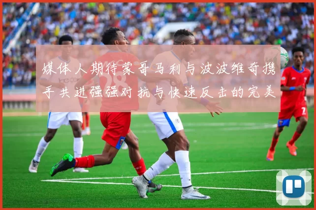 媒体人期待蒙哥马利与波波维奇携手共进强强对抗与快速反击的完美结合